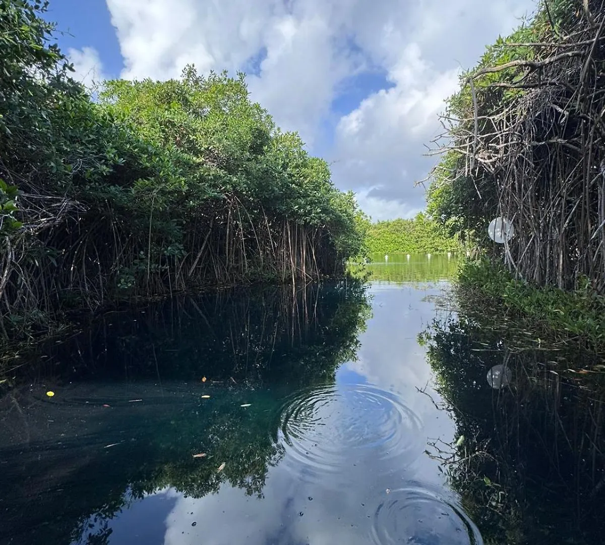 Cabanas Tulum - Aldea Mangle & Cenote