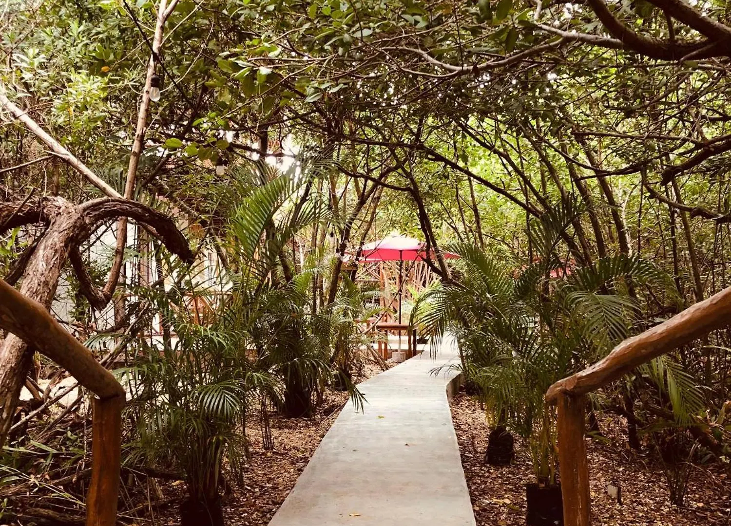 Cabanas Tulum - Aldea Mangle & Cenote Mexico