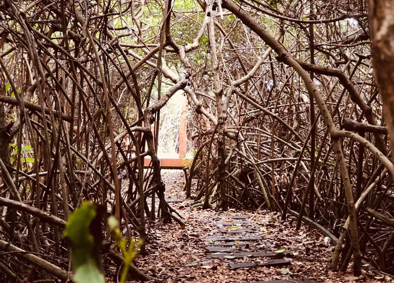Cabanas Tulum - Aldea Mangle & Cenote 0*,  Mexico
