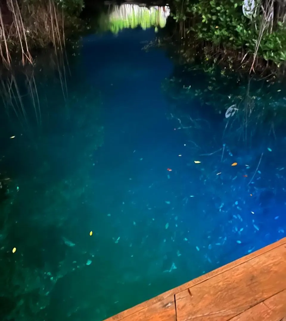 Cabanas Tulum - Aldea Mangle & Cenote Lodge