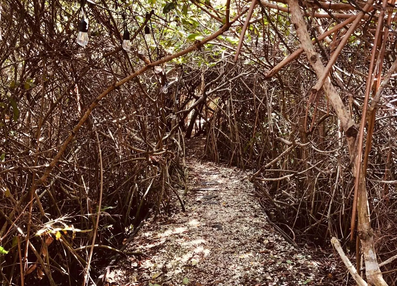 Cabanas Tulum - Aldea Mangle & Cenote 0*,