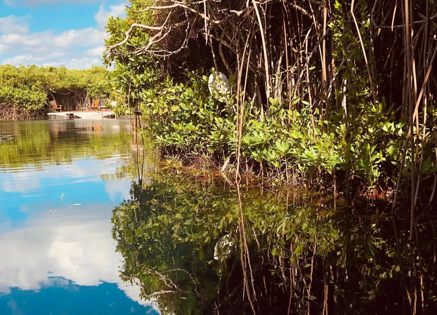 Cabanas Tulum - Aldea Mangle & Cenote 0*,