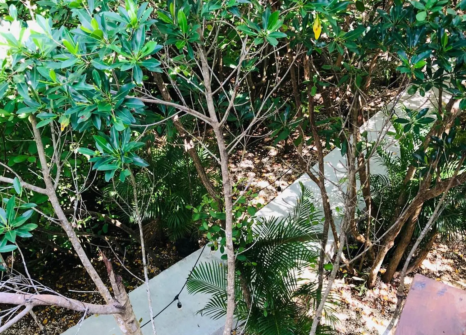 Lodge Cabanas Tulum - Aldea Mangle & Cenote