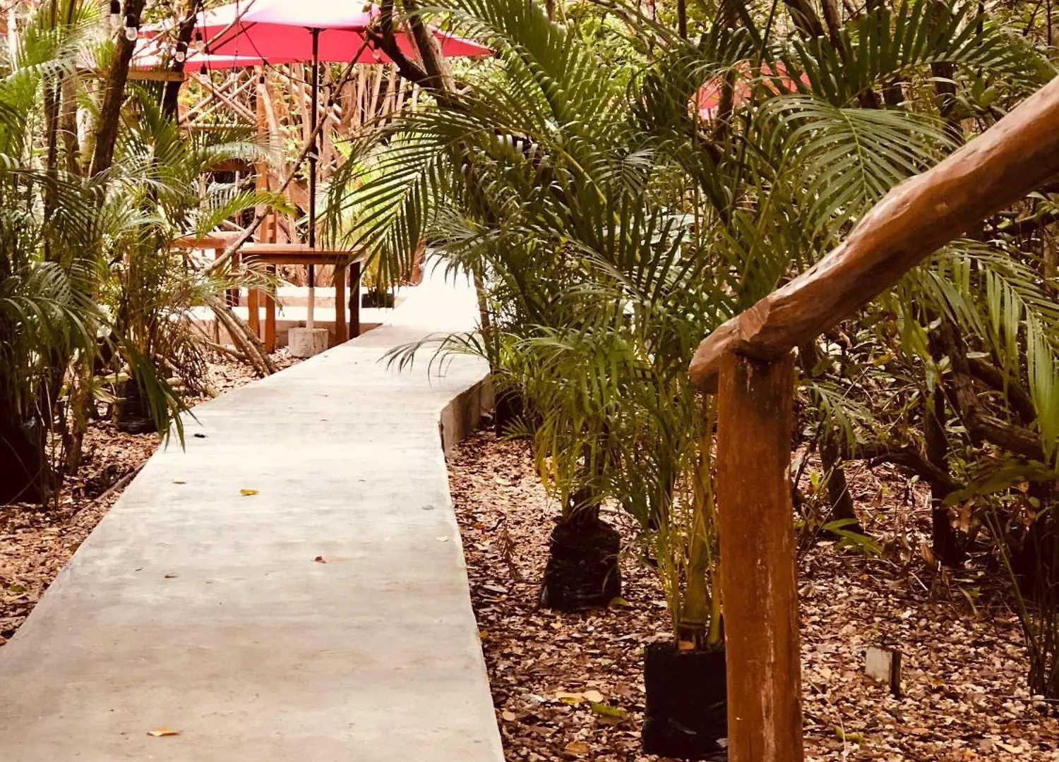 Lodge Cabanas Tulum - Aldea Mangle & Cenote Mexico