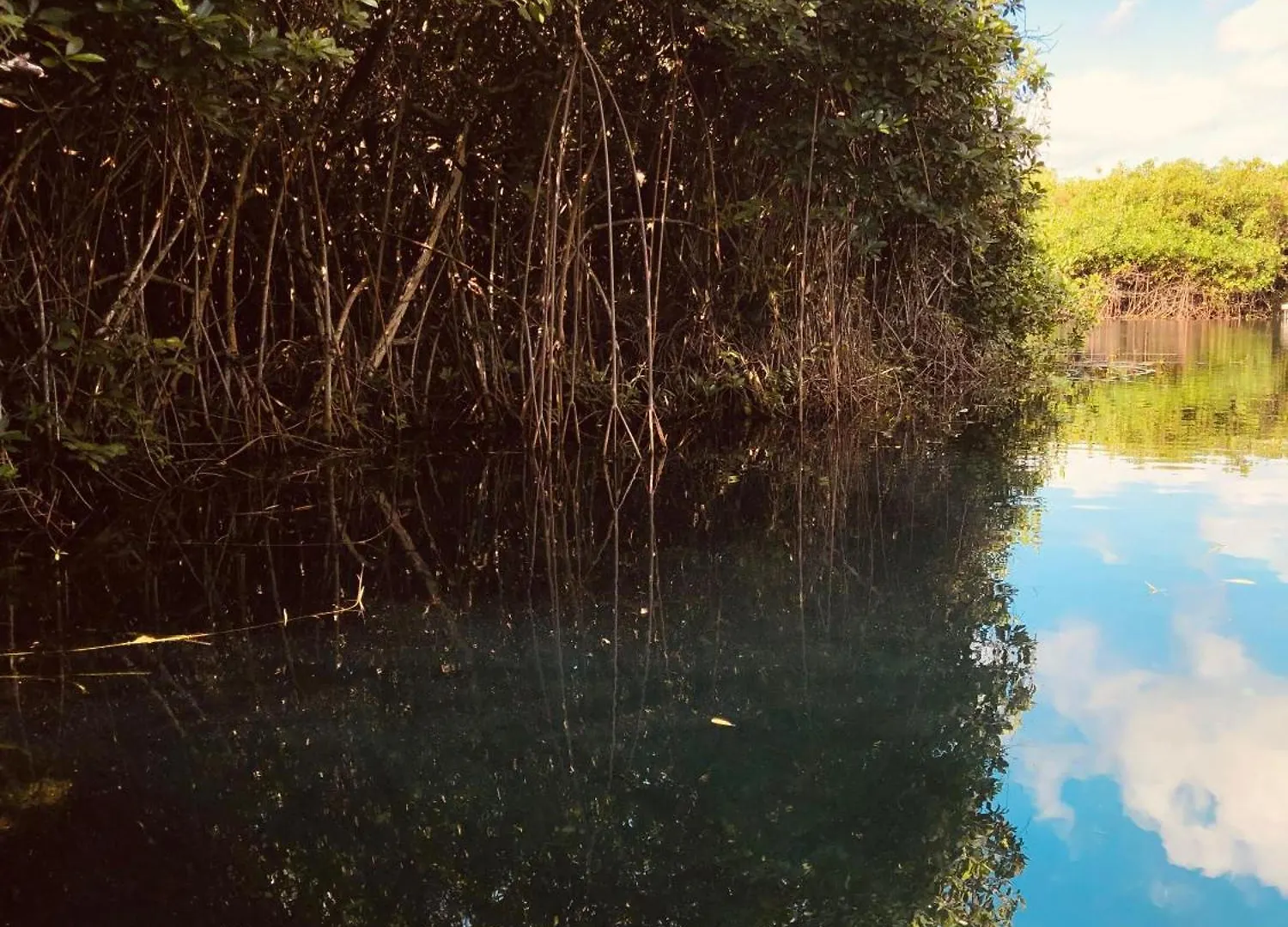 Lodge Cabanas Tulum - Aldea Mangle & Cenote Mexico