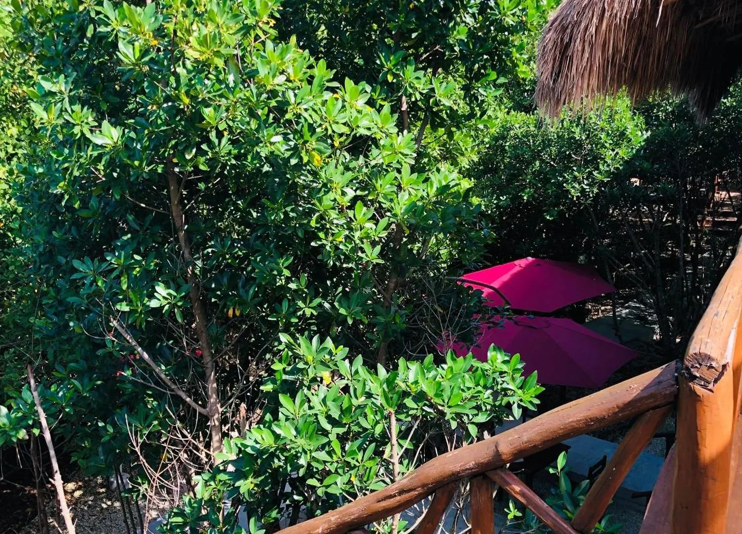 Cabanas Tulum - Aldea Mangle & Cenote Lodge